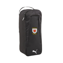 SAC A CHAUSSURES