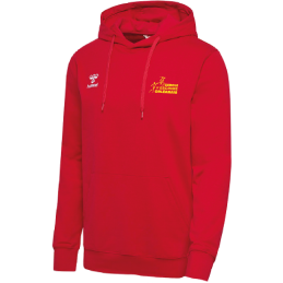 SWEAT A CAPUCHE HOODIE