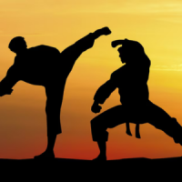 Sport de combat -