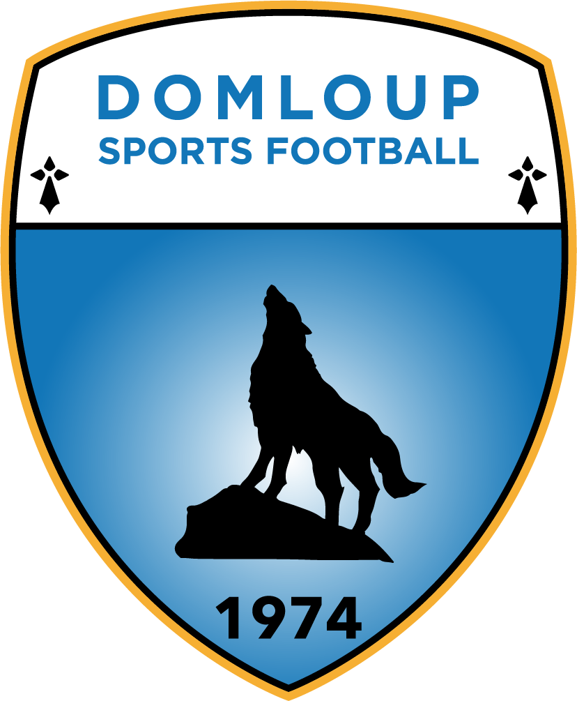 DOMLOUP FOOT